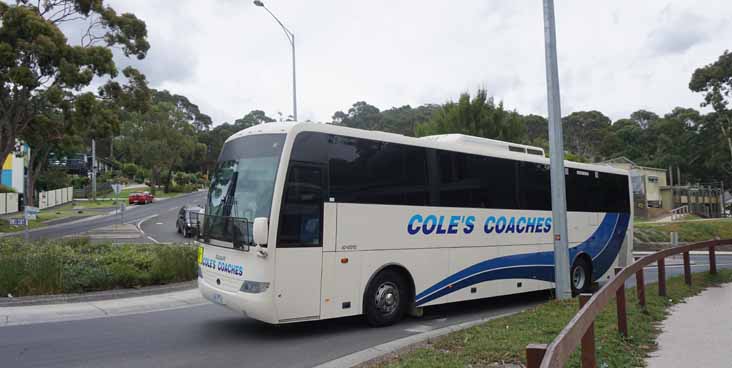 Coles MAN 18.280 Coach Design 5615AO